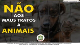 NÃO! AOS MAUS TRATOS A ANIMAIS NÃO! AOS MAUS TRATOS A ANIMAIS