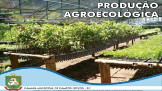 Projeto de Lei do Legislativo nº 6/2019 Projeto de Lei do Legislativo nº 6/2019